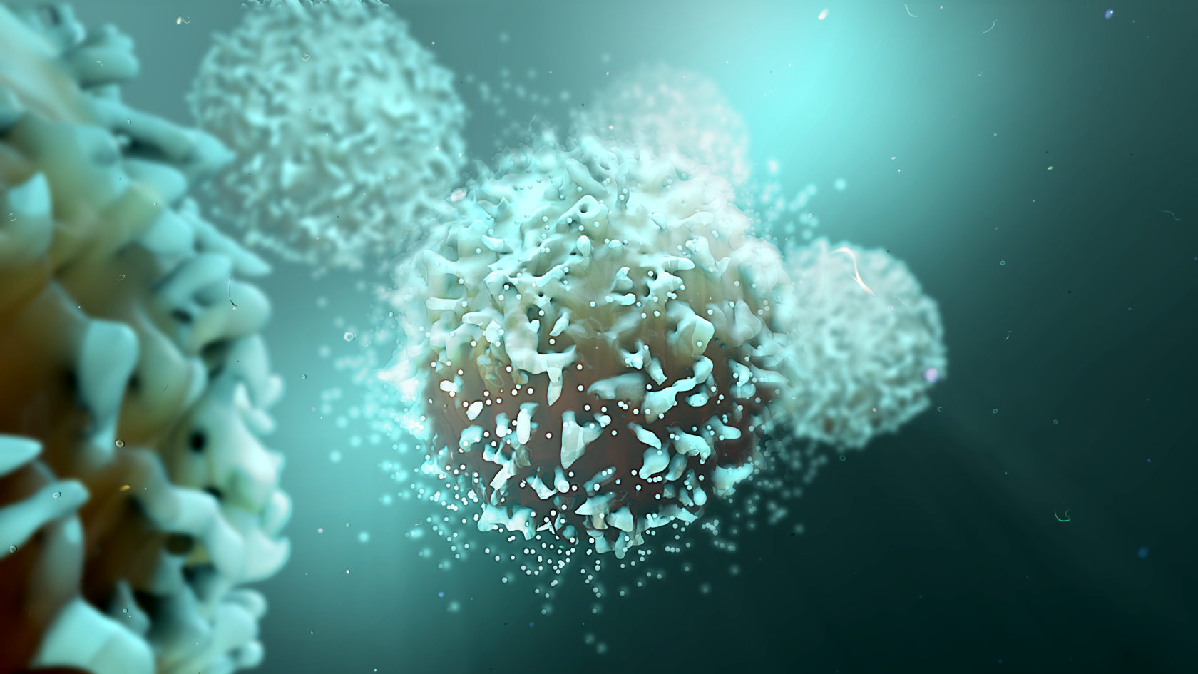 Immunotherapy zelluna